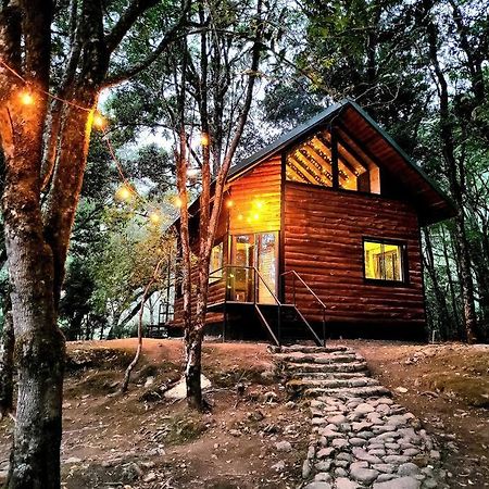 Unicorn Lodge: Direct Riverfront : Unique Experience San Gerardo de Dota Exterior foto