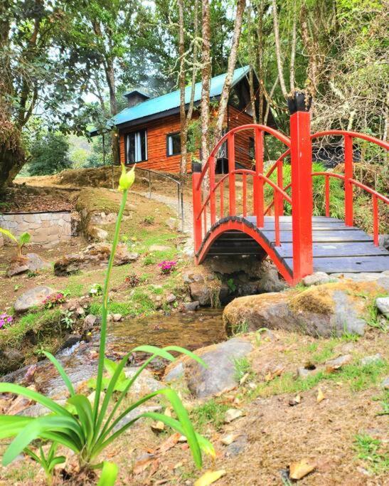 Unicorn Lodge: Direct Riverfront : Unique Experience San Gerardo de Dota Exterior foto