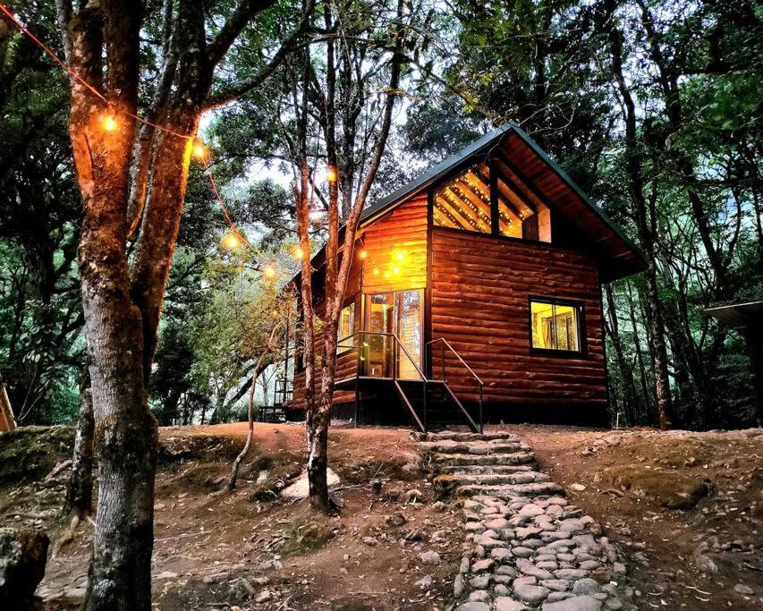 Unicorn Lodge: Direct Riverfront : Unique Experience San Gerardo de Dota Exterior foto