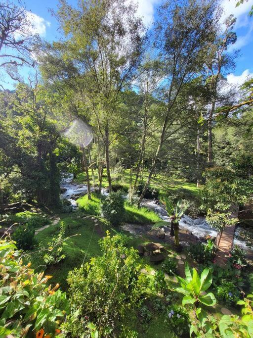 Unicorn Lodge: Direct Riverfront : Unique Experience San Gerardo de Dota Exterior foto