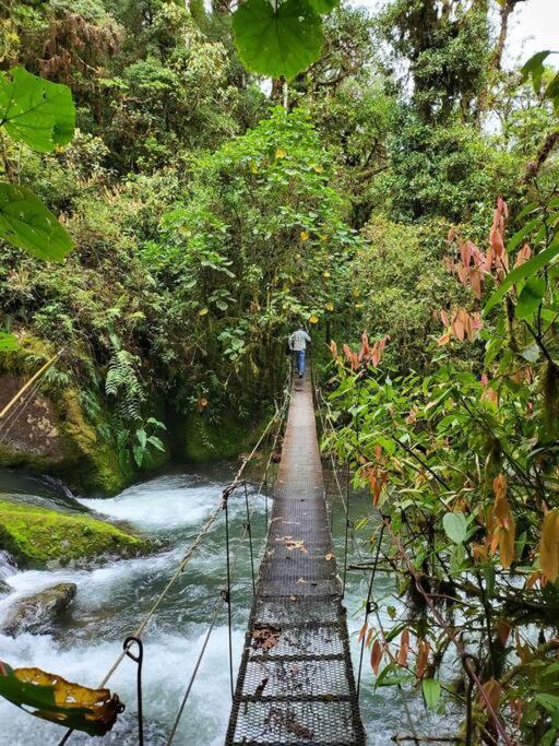 Unicorn Lodge: Direct Riverfront : Unique Experience San Gerardo de Dota Exterior foto