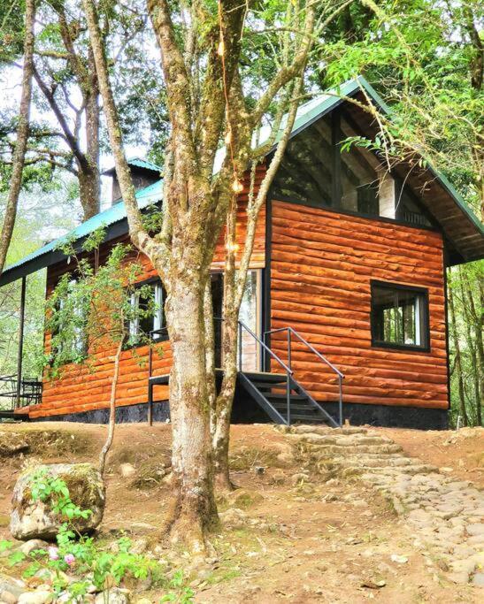 Unicorn Lodge: Direct Riverfront : Unique Experience San Gerardo de Dota Exterior foto