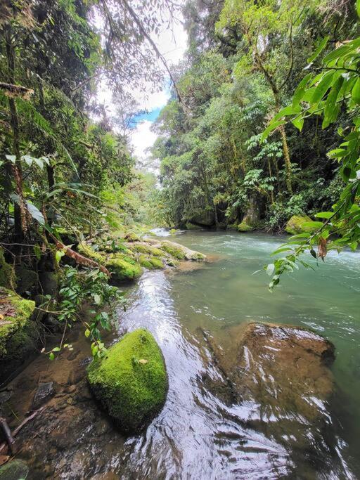 Unicorn Lodge: Direct Riverfront : Unique Experience San Gerardo de Dota Exterior foto