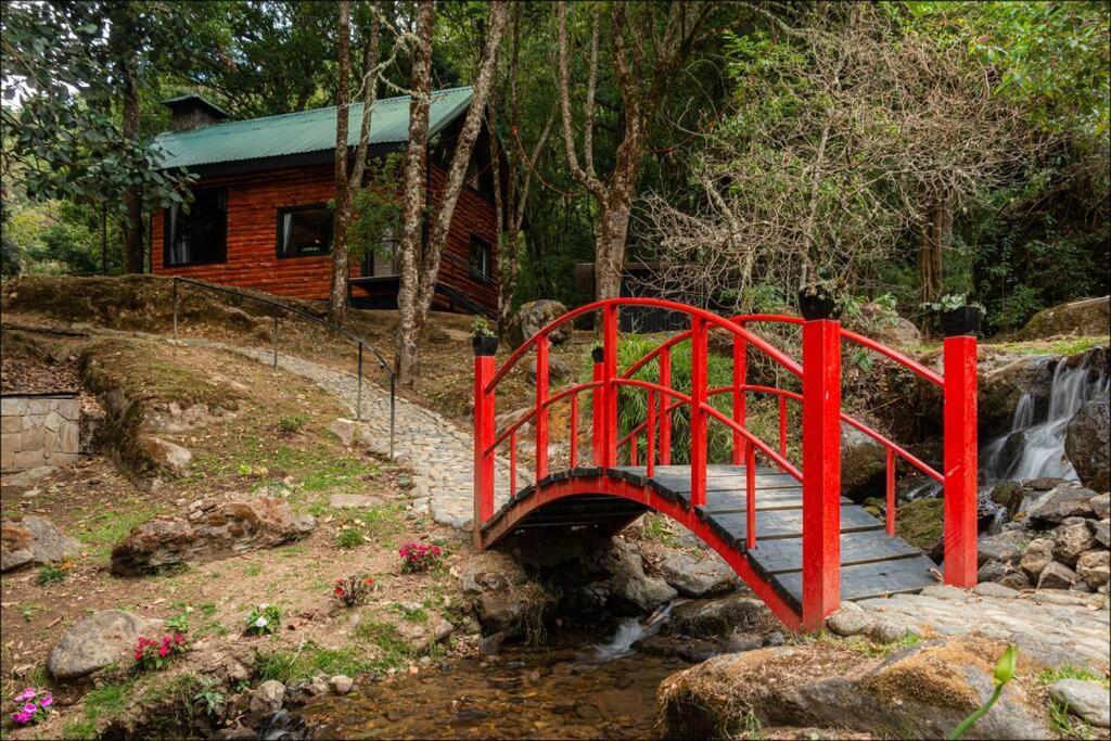 Unicorn Lodge: Direct Riverfront : Unique Experience San Gerardo de Dota Exterior foto